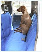 Pet Stains Removal from Upholsteries in CA